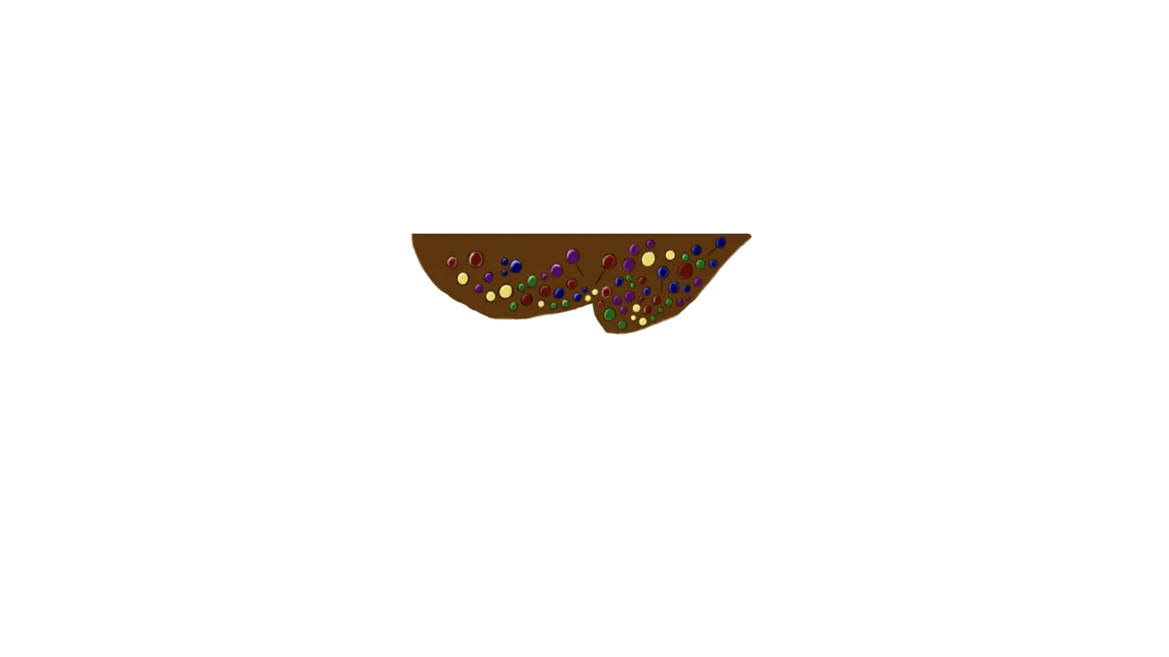 Chocoland_Platform2.png