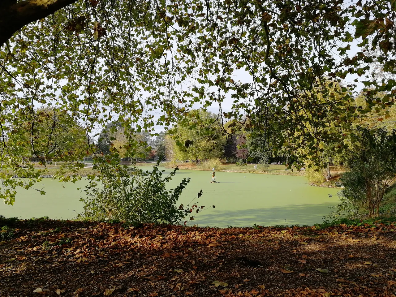 IMG_20181104_130327.jpg