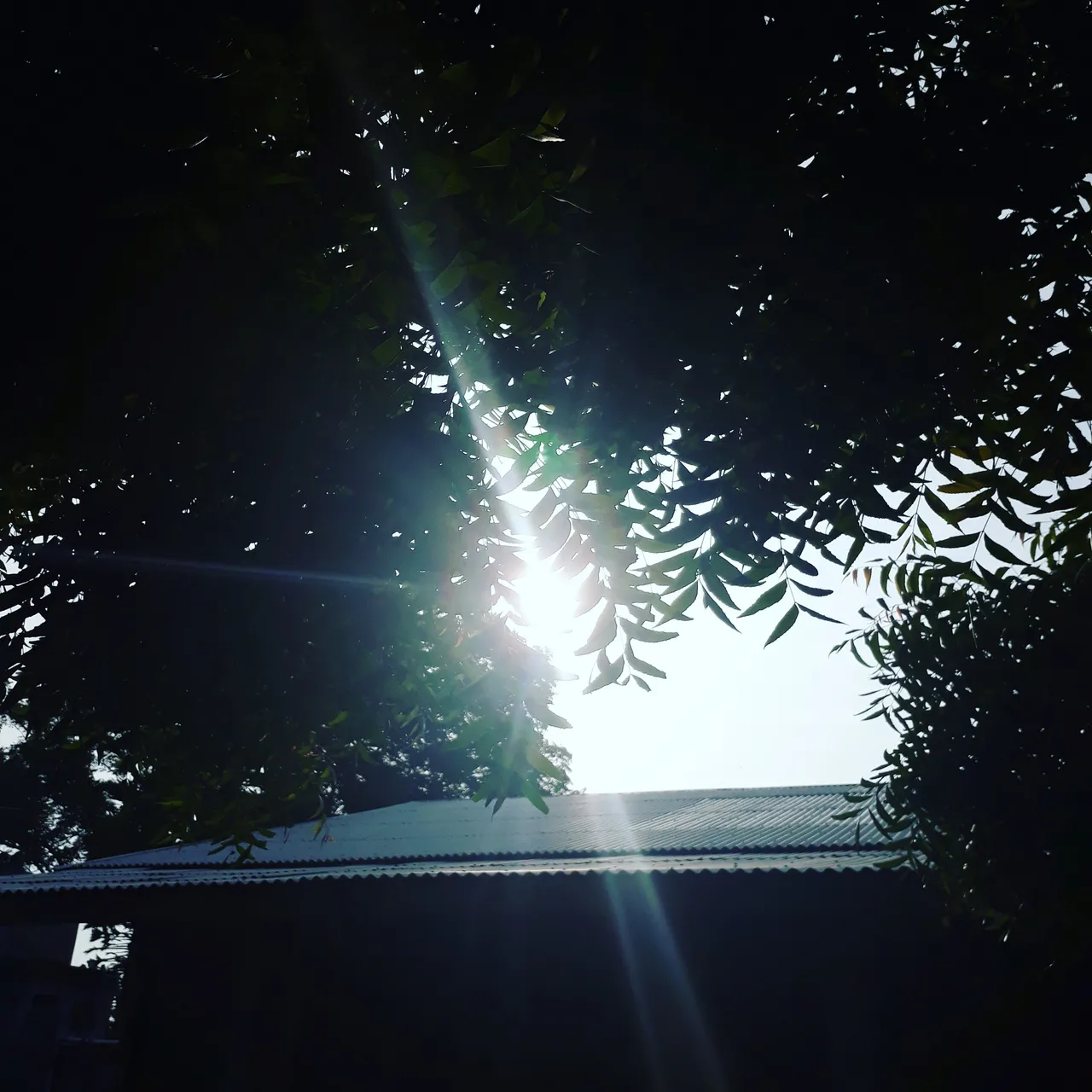 20190702_105851_085.jpg