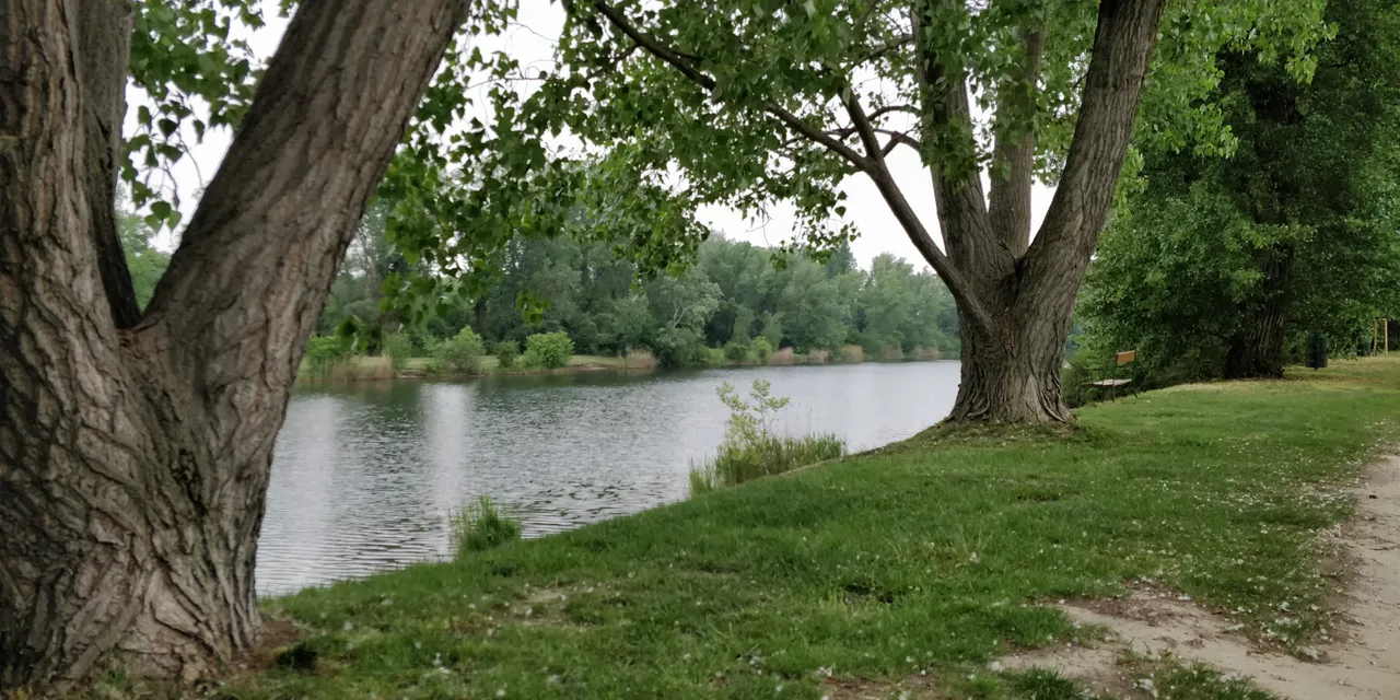IMG_20180505_092923.jpg
