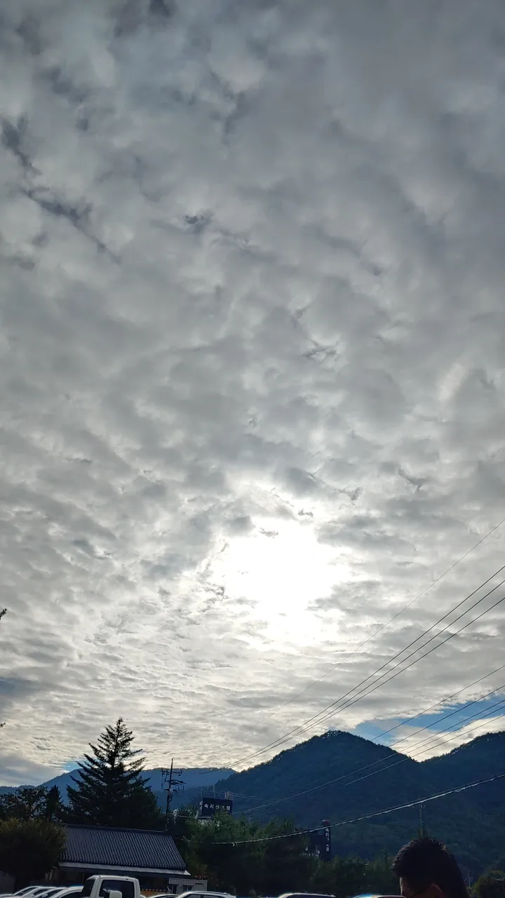 20191010_155750_HDR.jpg
