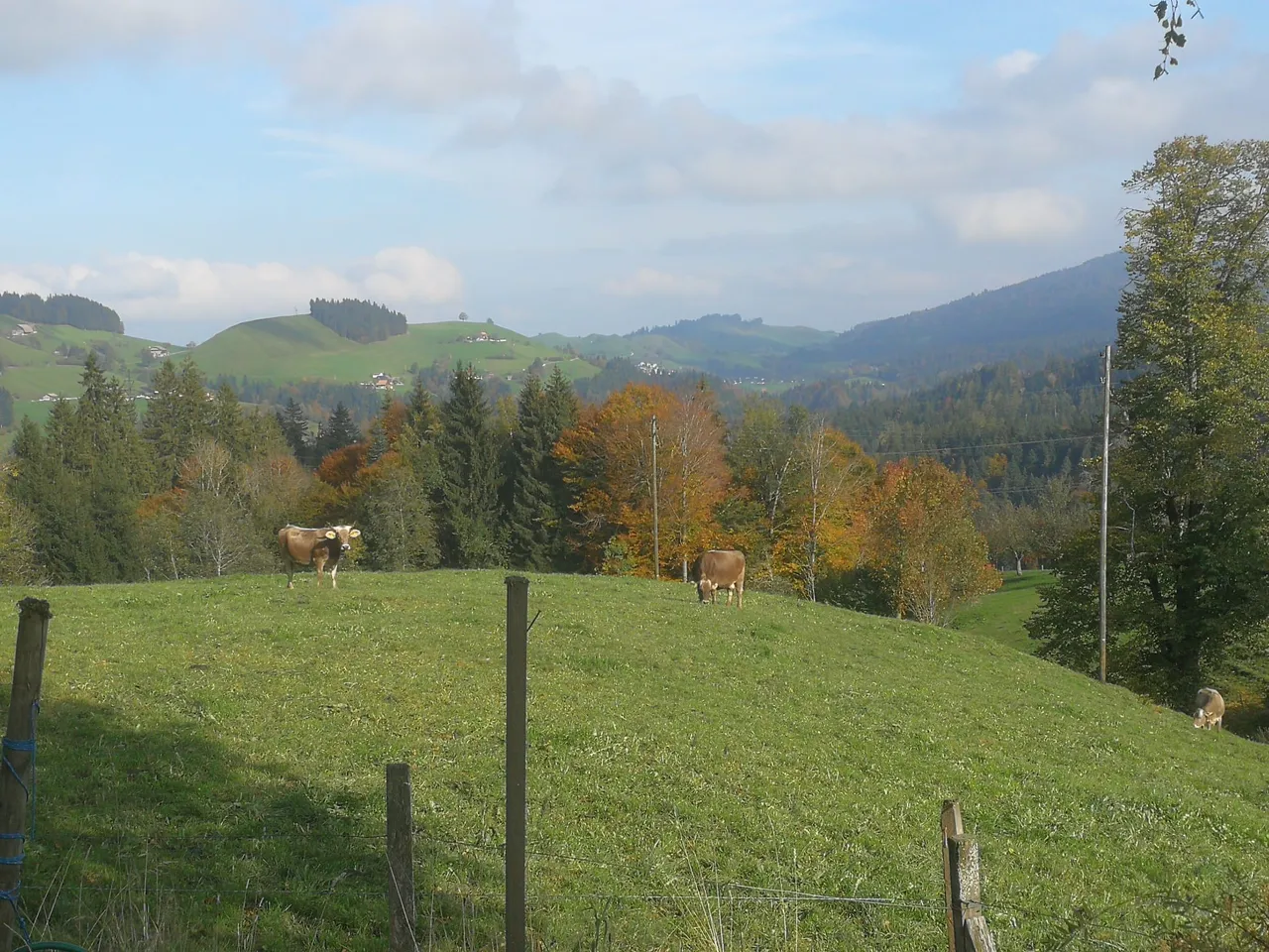 IMG-20191025-WA0010.jpg