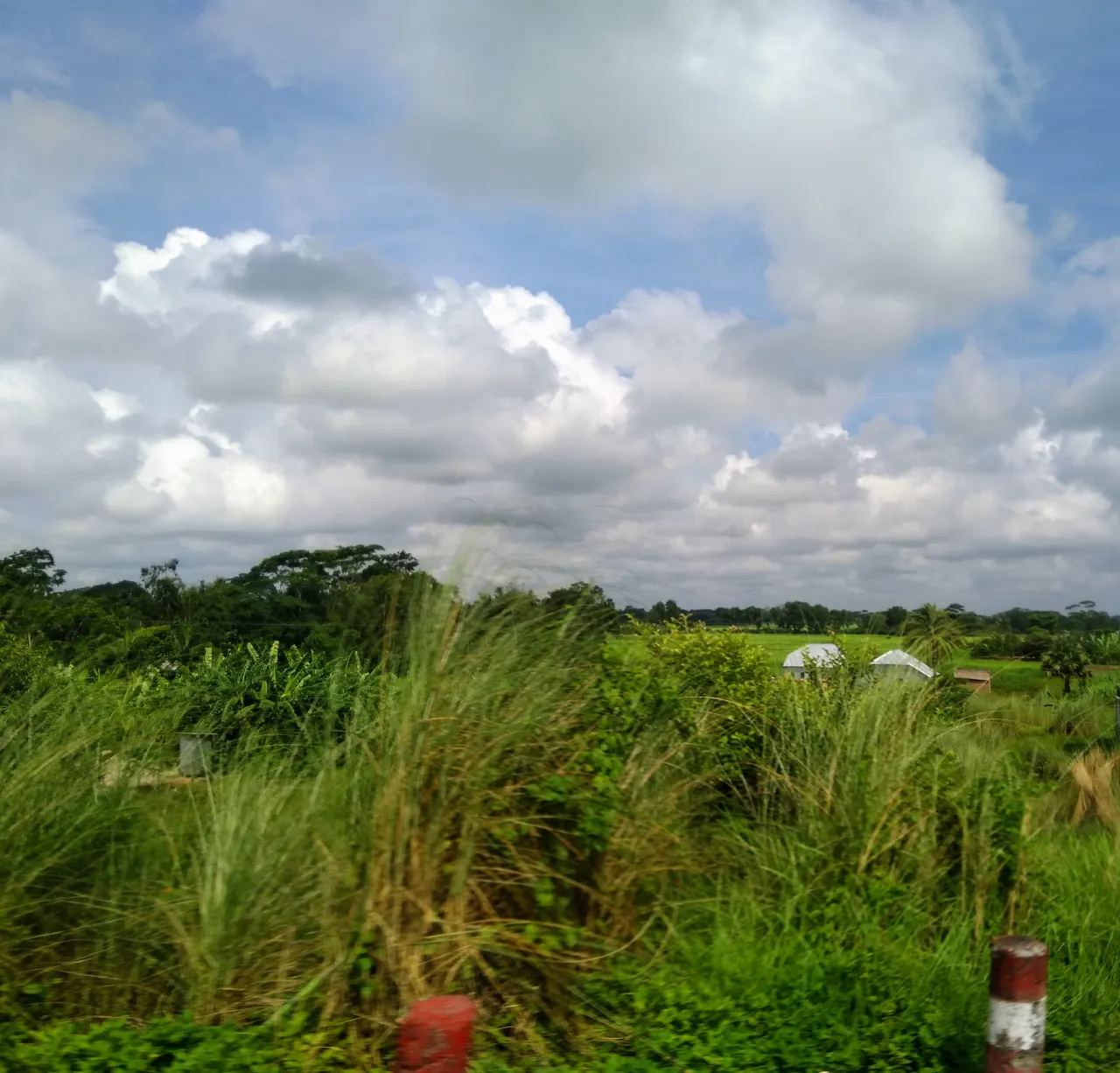 IMG_20180826_094134.jpg