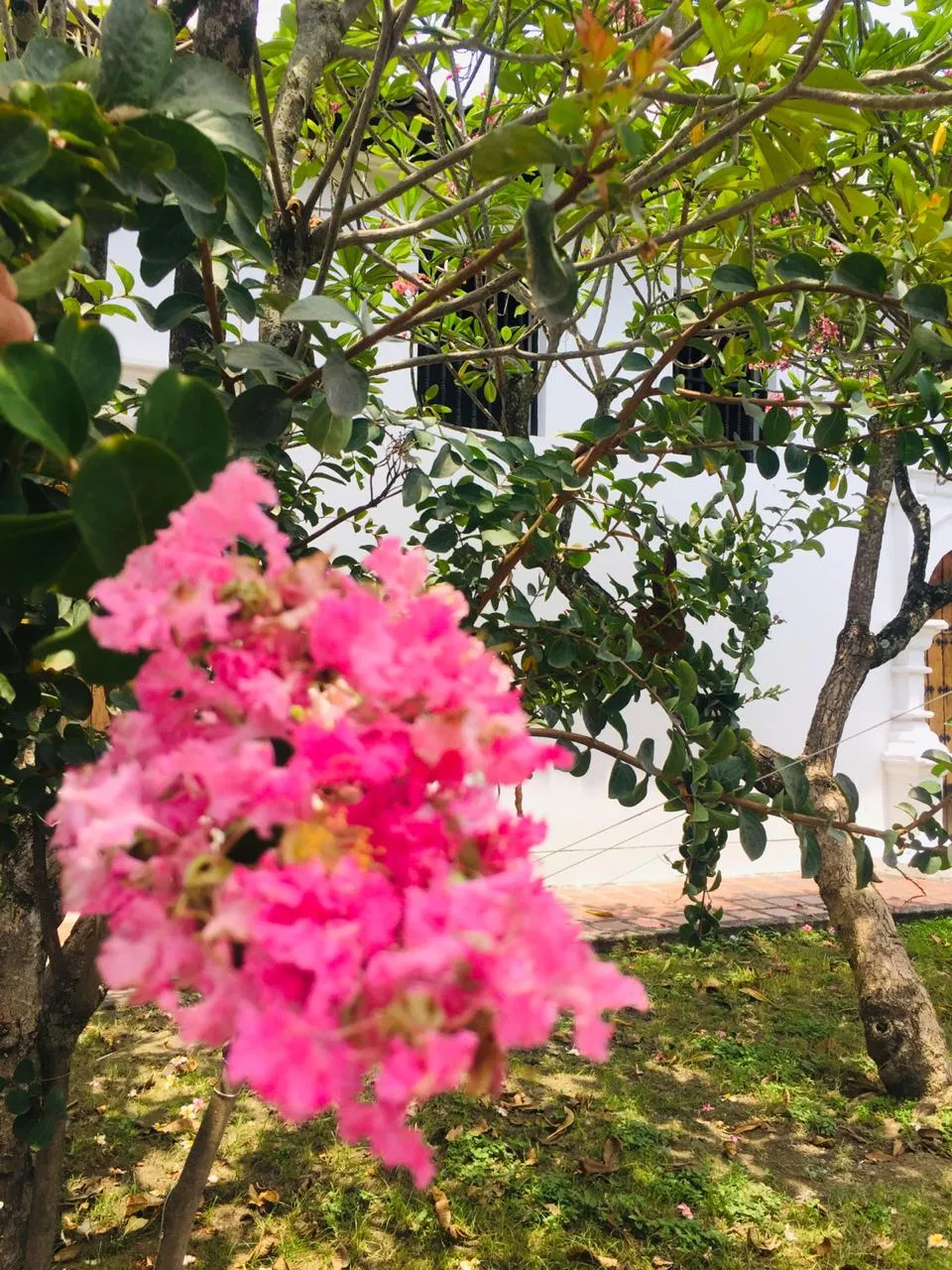 IMG-20190407-WA0028.jpg