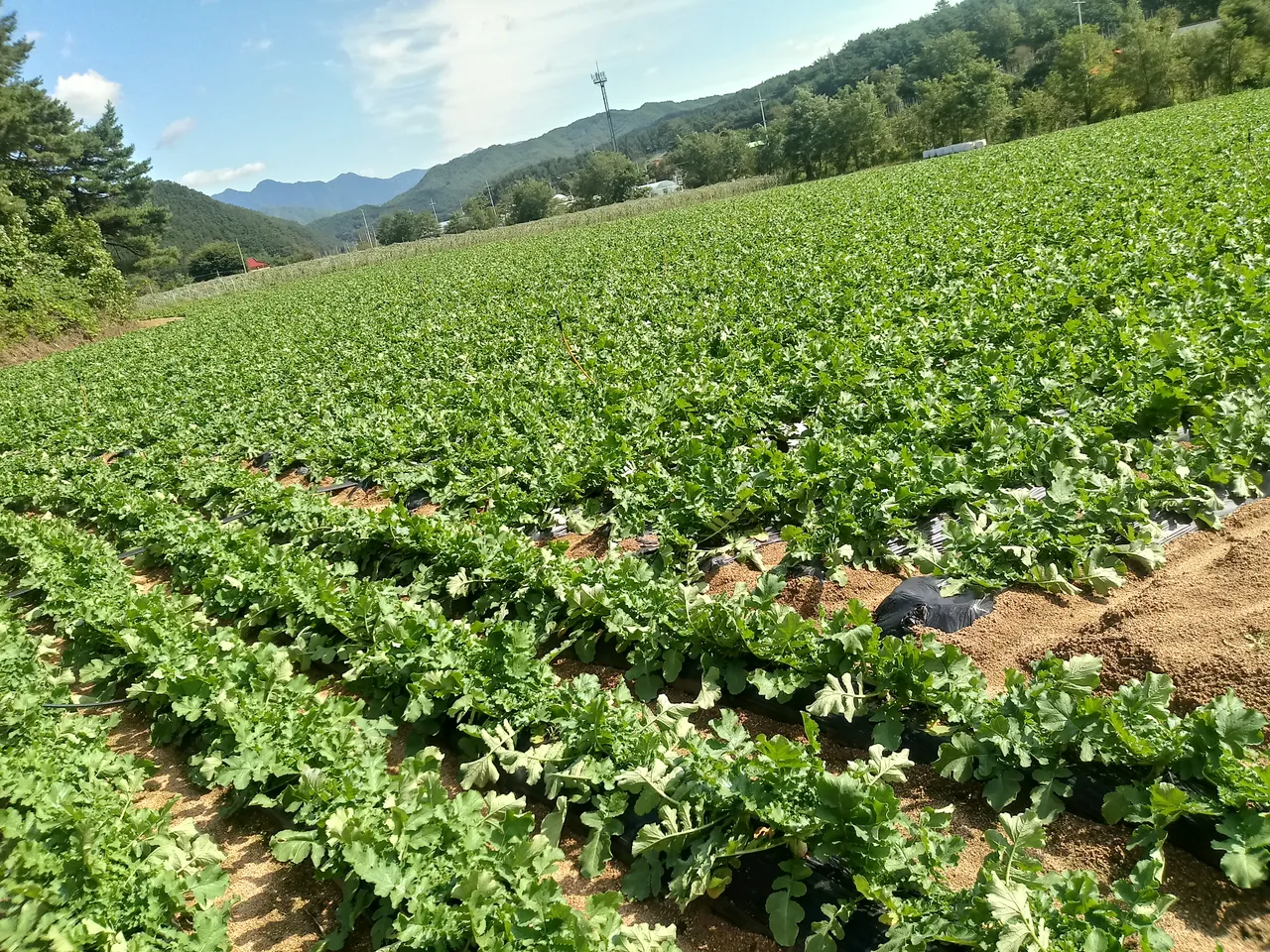 20180924_105238_HDR.jpg