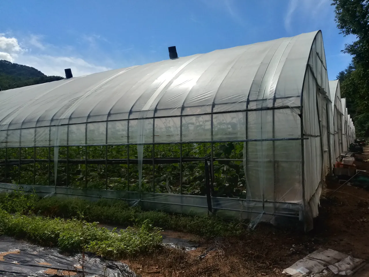 20180924_105954_HDR.jpg