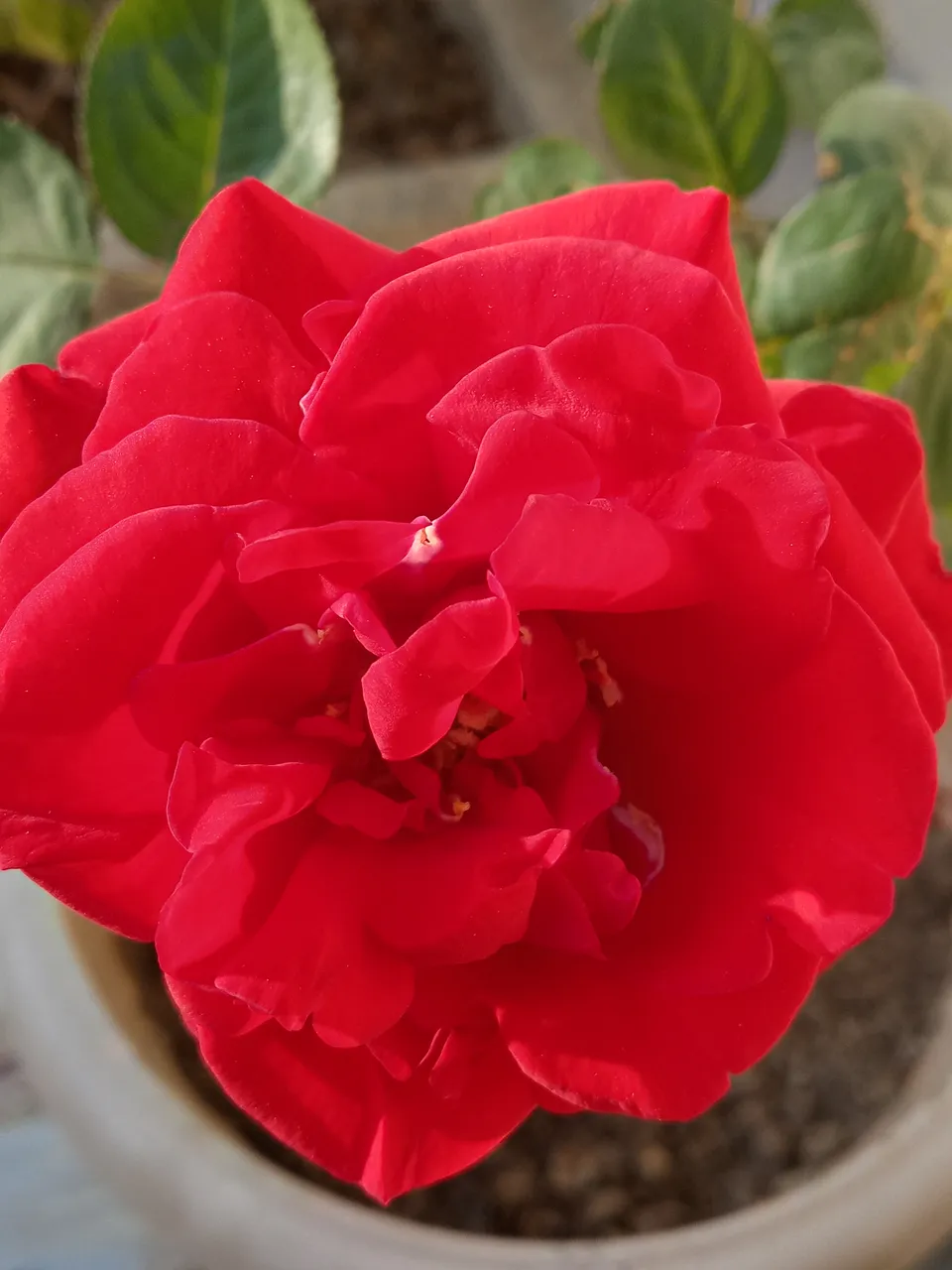20211121_153433_HDR.jpg