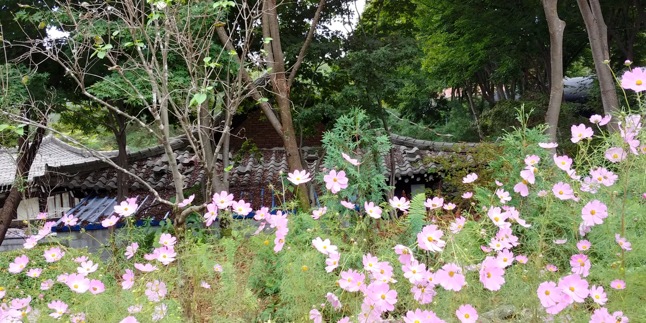 20180923_124643_HDR.jpg