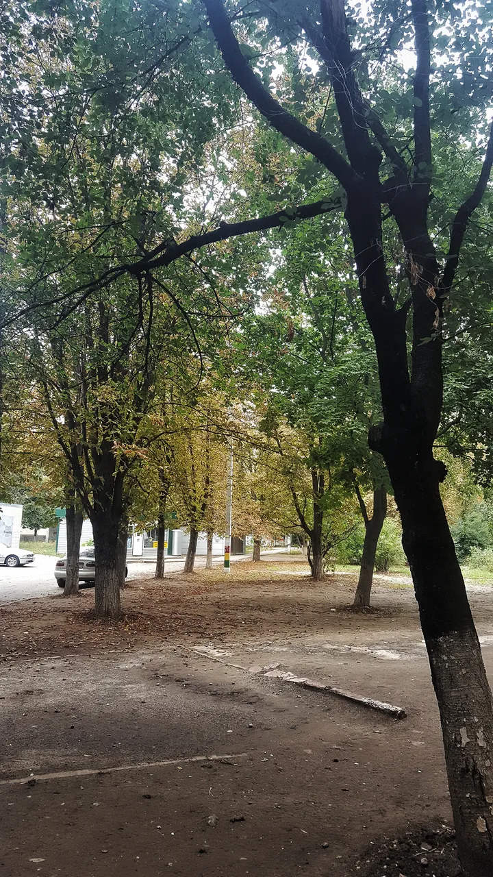 20180924_101951-02.jpeg