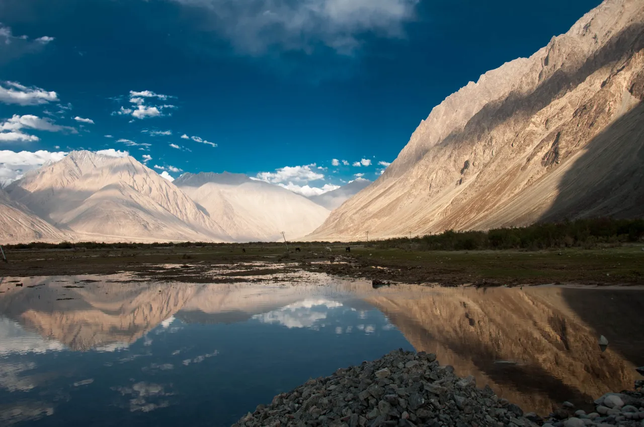 Nubra_valley_hunder.jpg