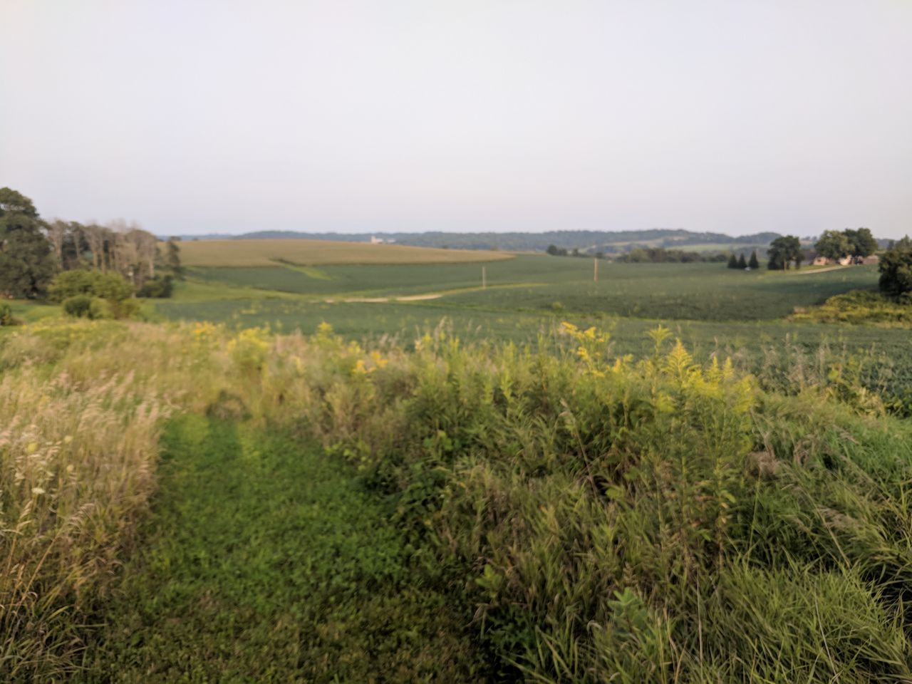 IMG_20180818_185114.jpg
