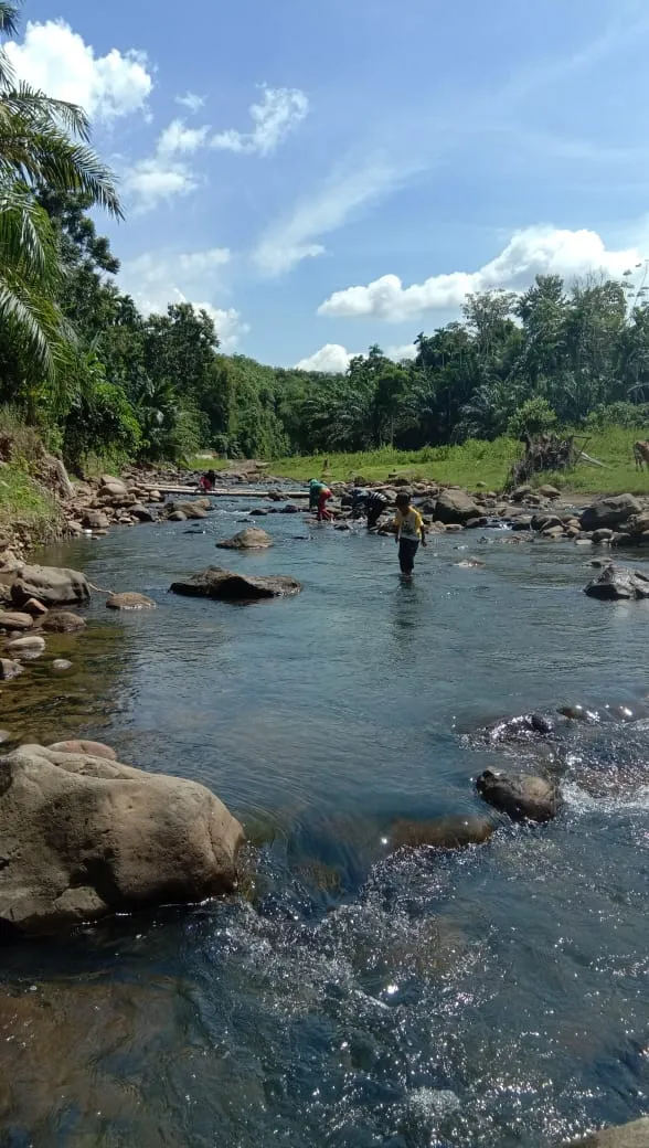 IMG-20190102-WA0004.jpg