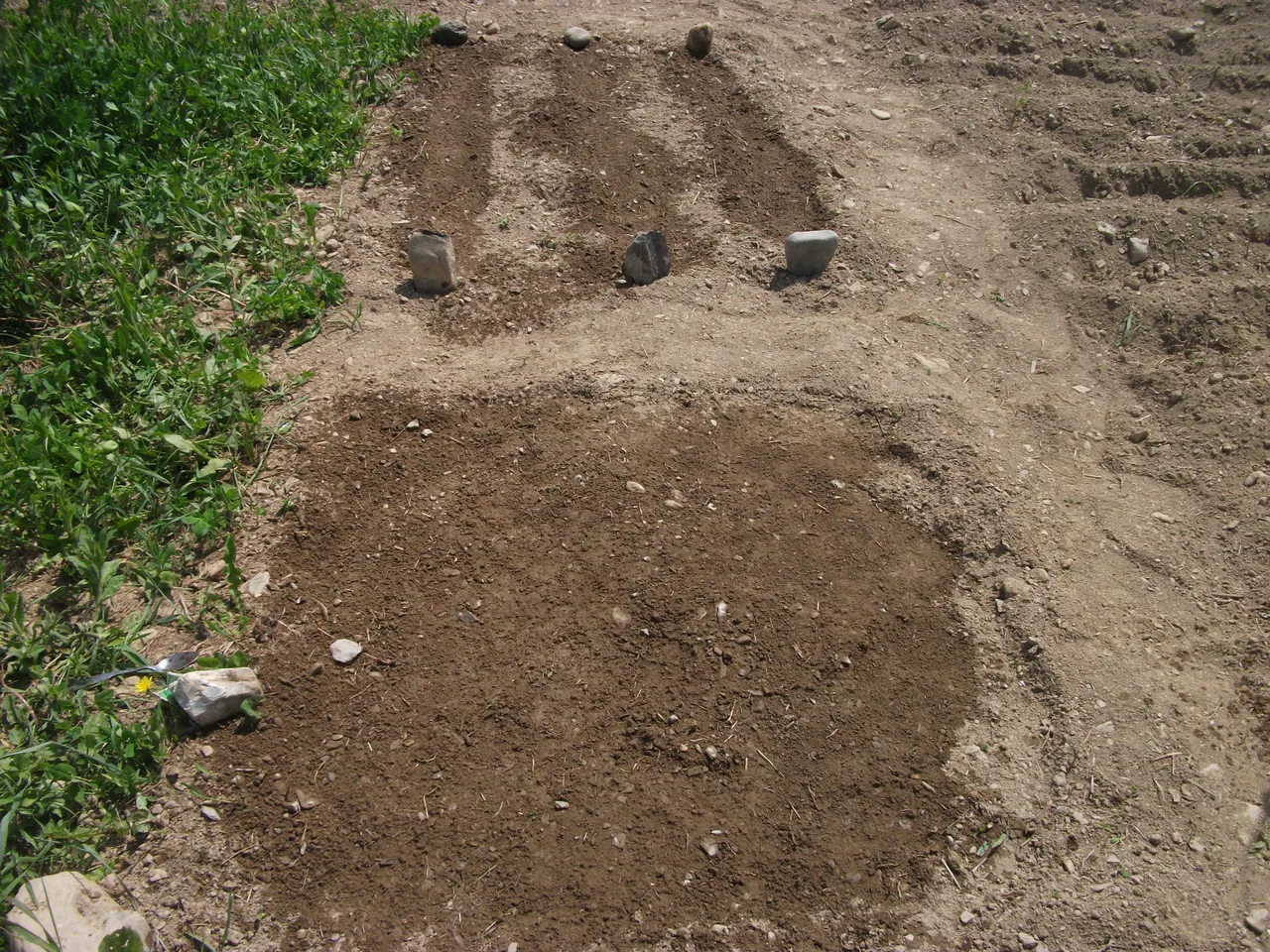 Garden 2018 010.JPG