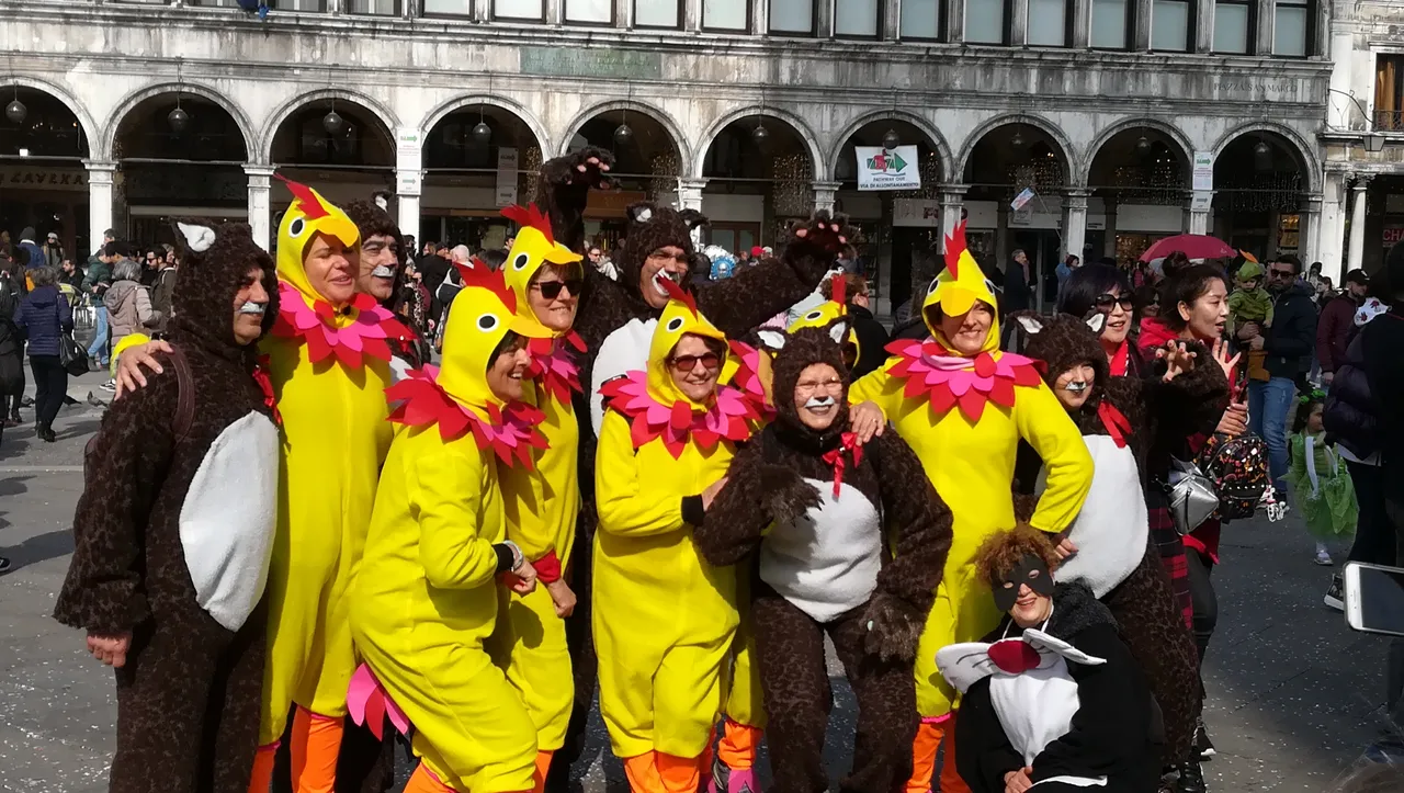 IMG_20190305_112233.jpg