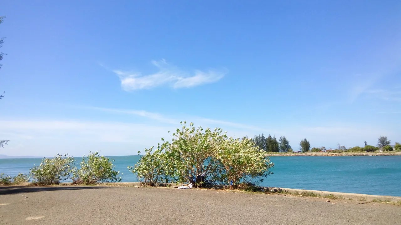 IMG_20160727_150522.jpg