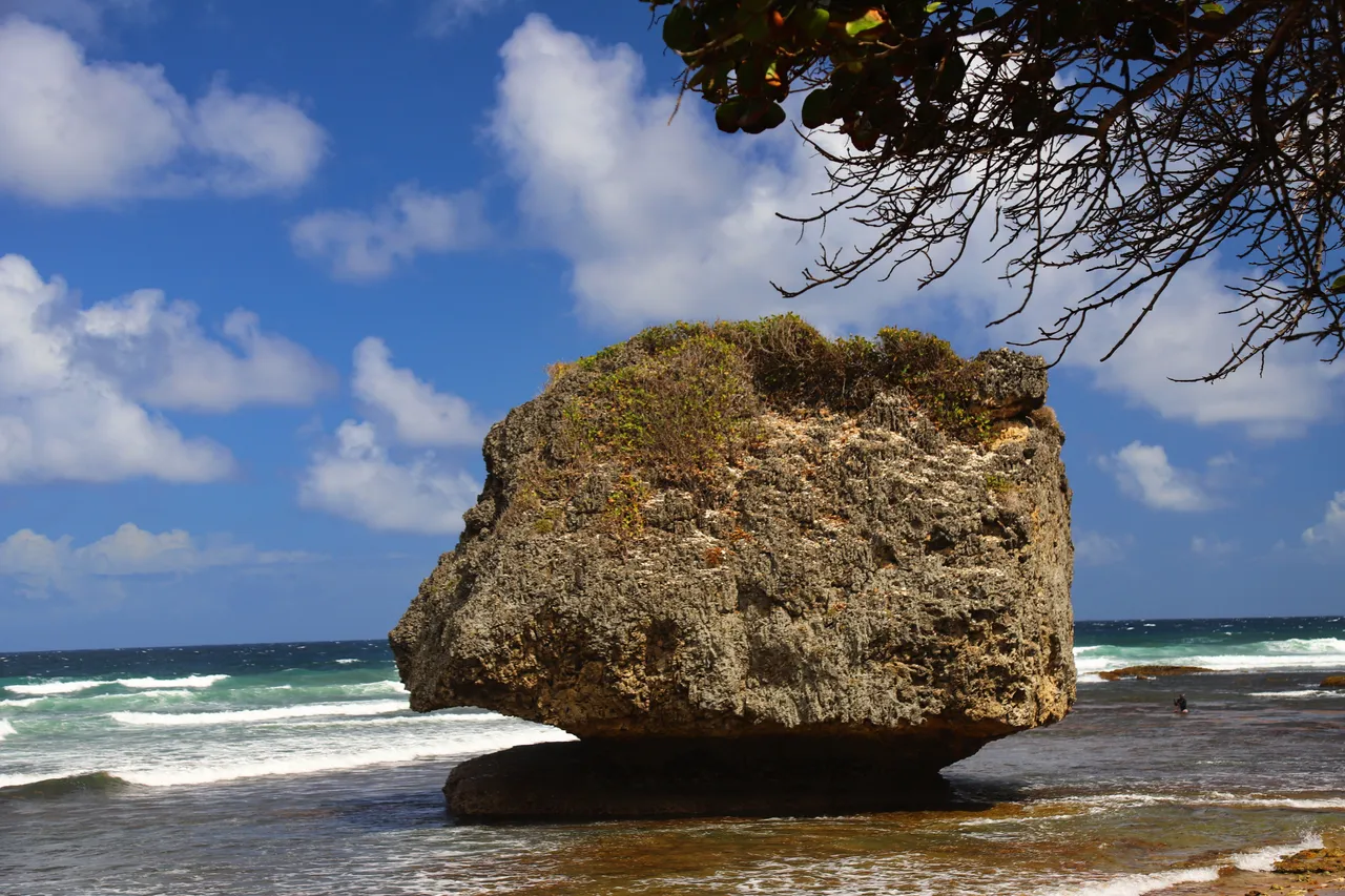 mushroom rock 5.JPG