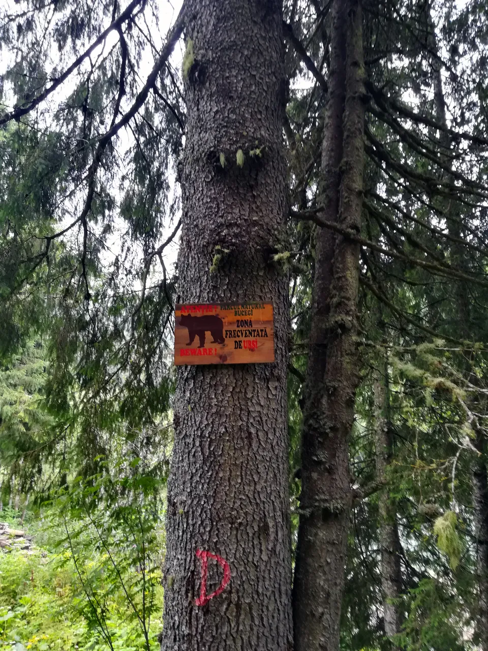 IMG_20180727_175059.jpg