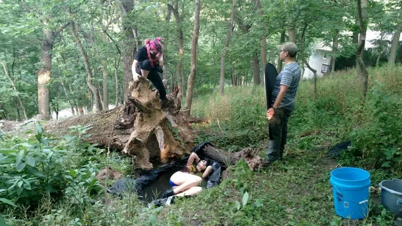 Dryad_BTS_2-800x600.jpg