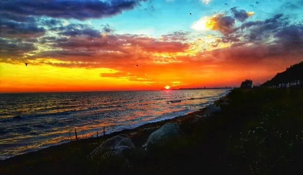 IMG_20190708_034811.jpg