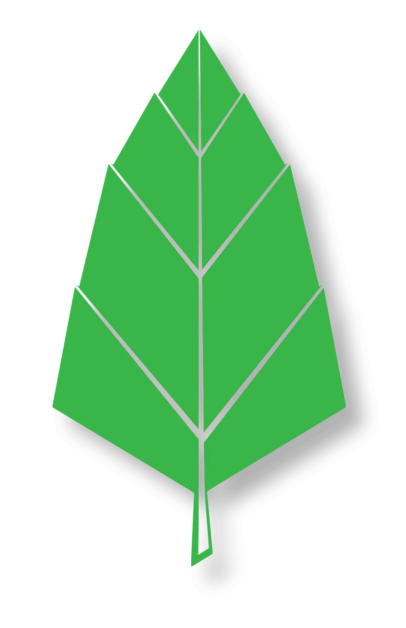 Leaf-with-shadow-01.png