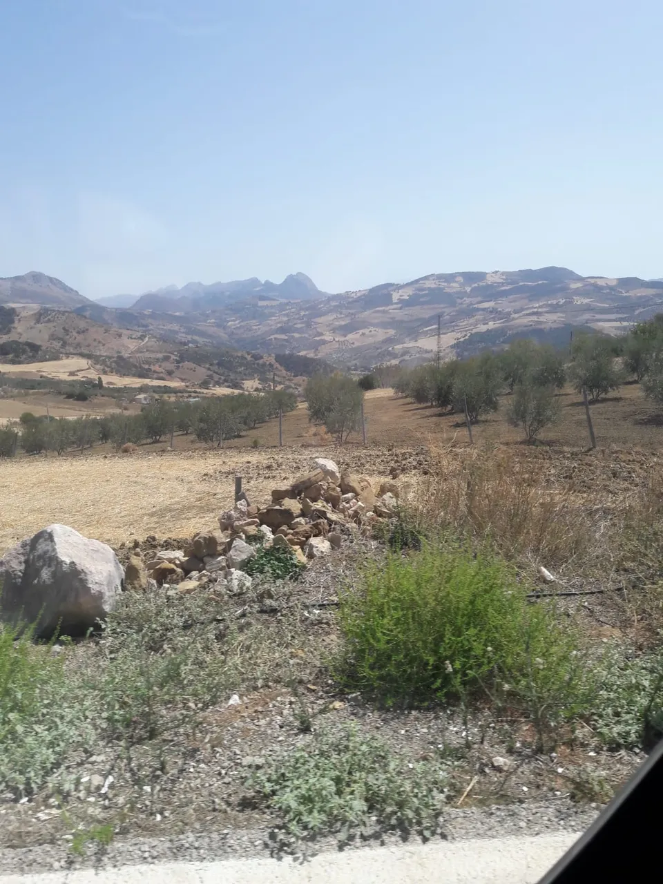 IMG-20180624-WA0019.jpg