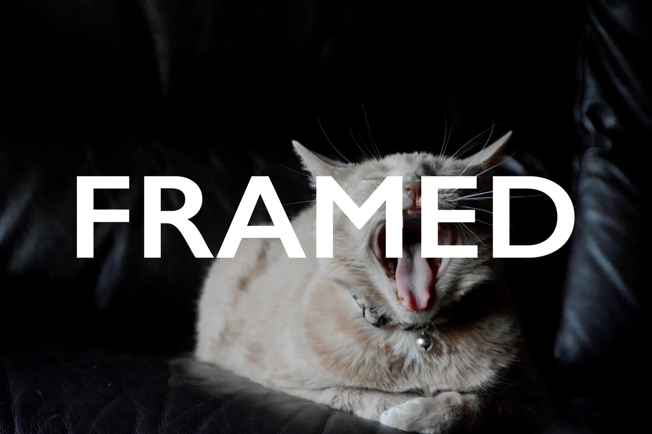 DSC_2646.1 framed.jpg