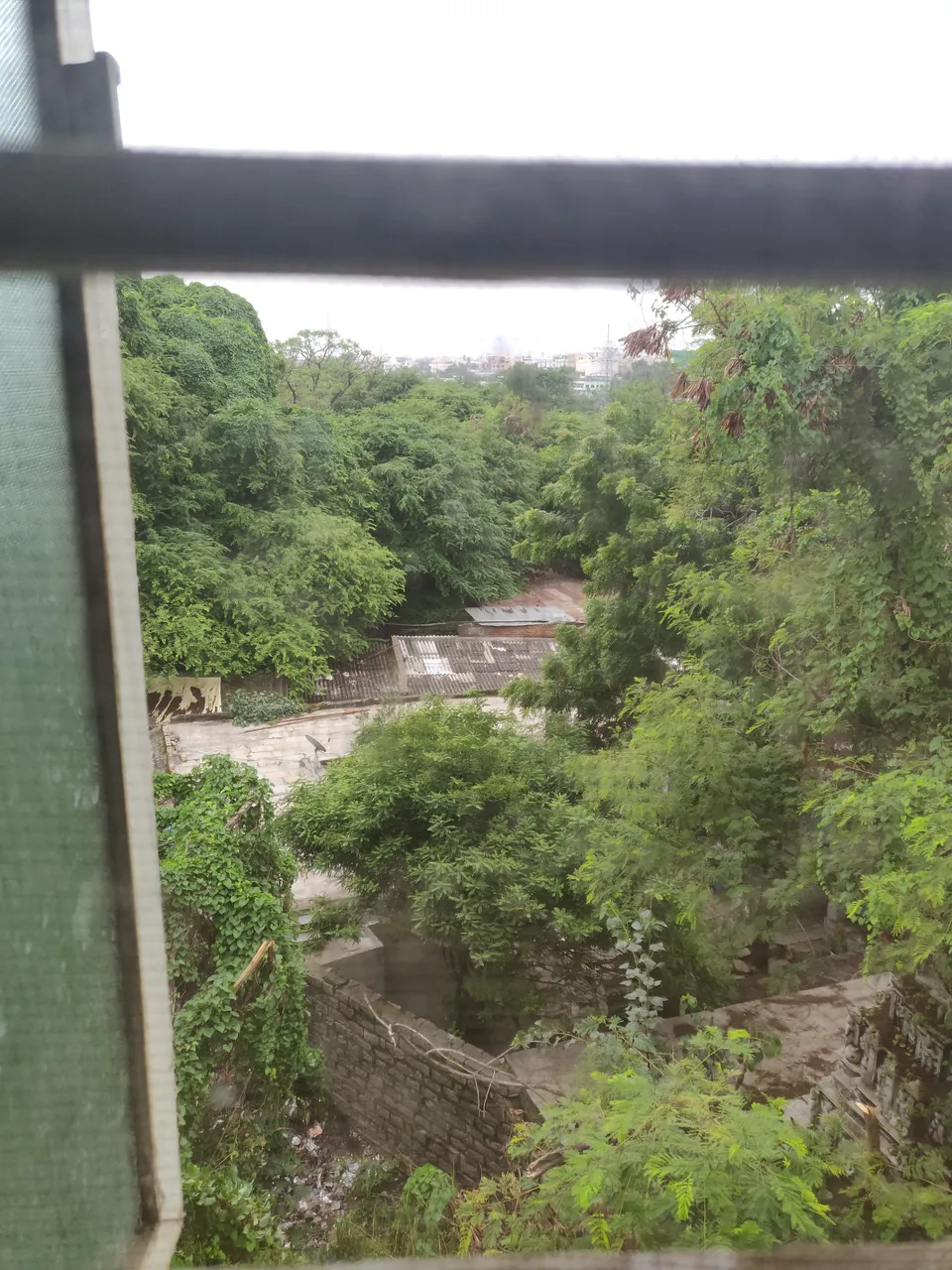 IMG_20180720_084742.jpg