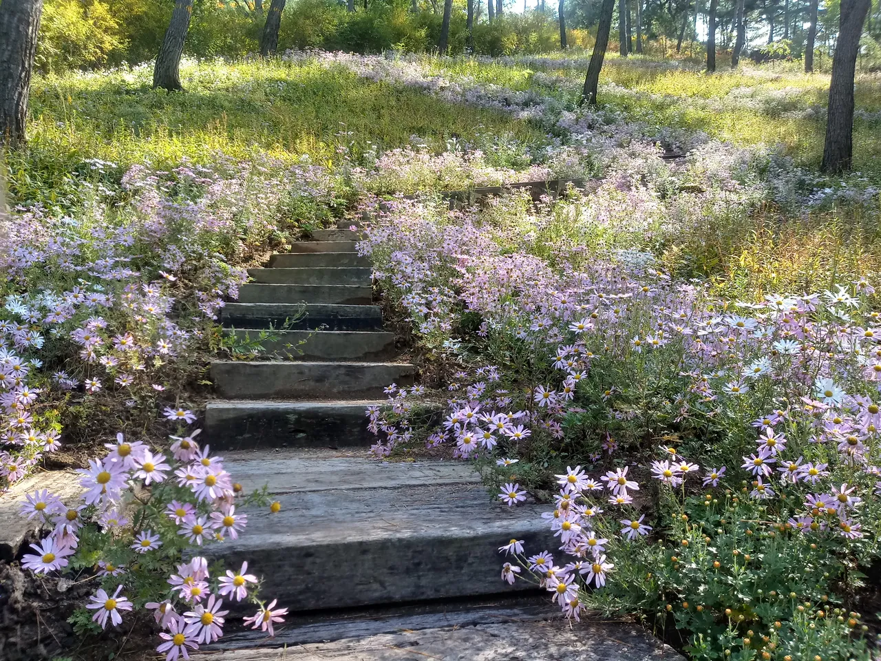 20181014_124117_HDR.jpg