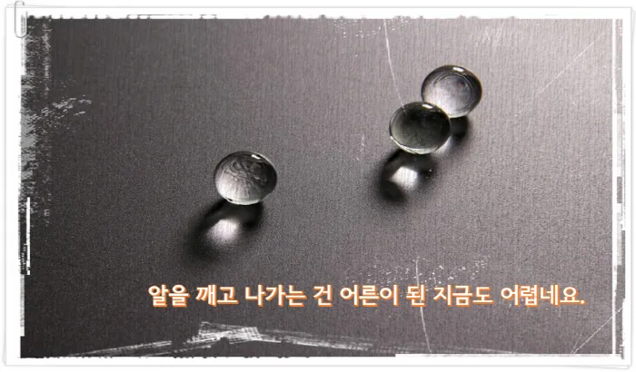 ddllddll 그냥 나.png