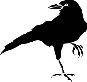 Crow image copy.jpg