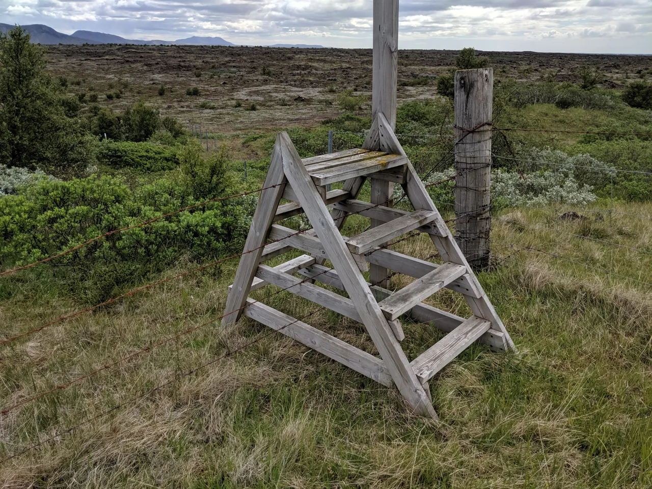 ladder over fence