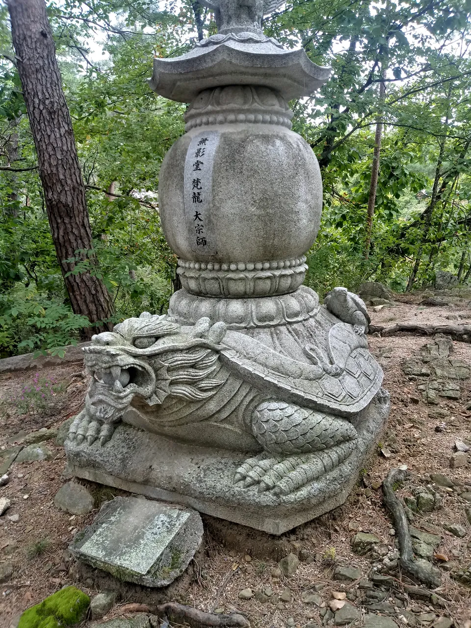 20180923_142504_HDR.jpg
