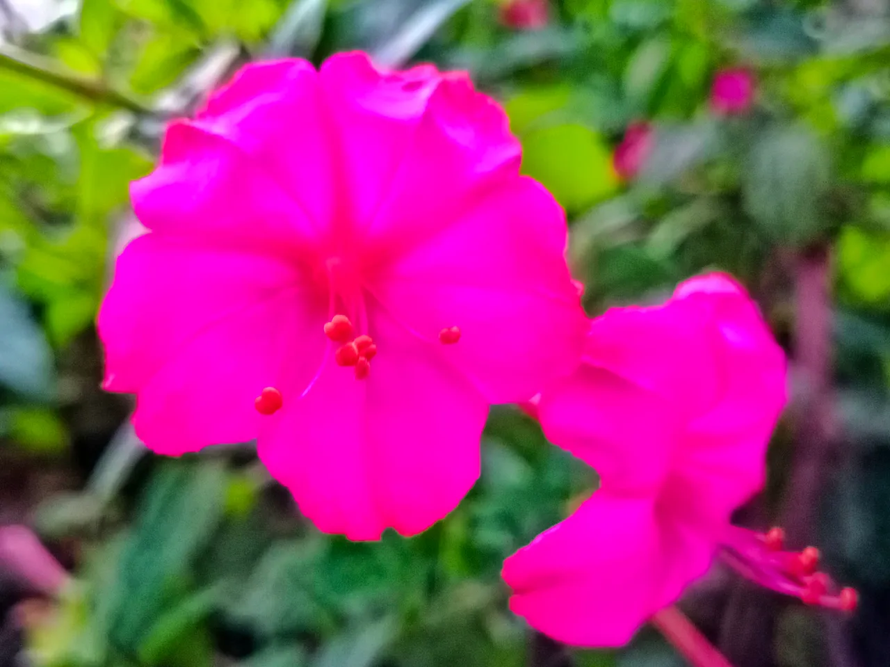 IMG_20200229_081745.JPG