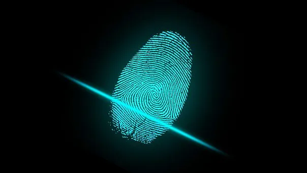 finger-2081169__340.jpg