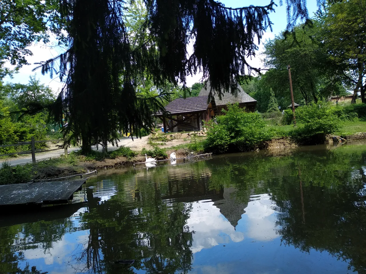 IMG_20190526_152256.jpg