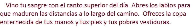 vino para paint.jpg