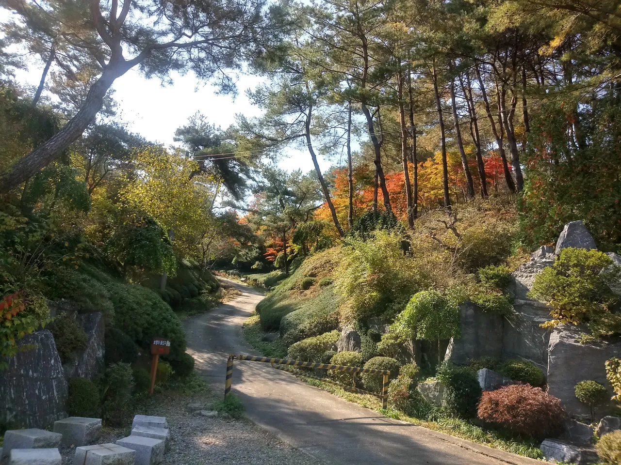 20181014_111127_HDR.jpg