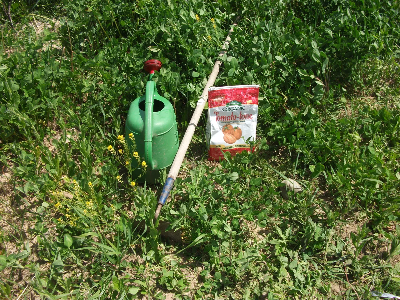 Garden 2018 009.JPG