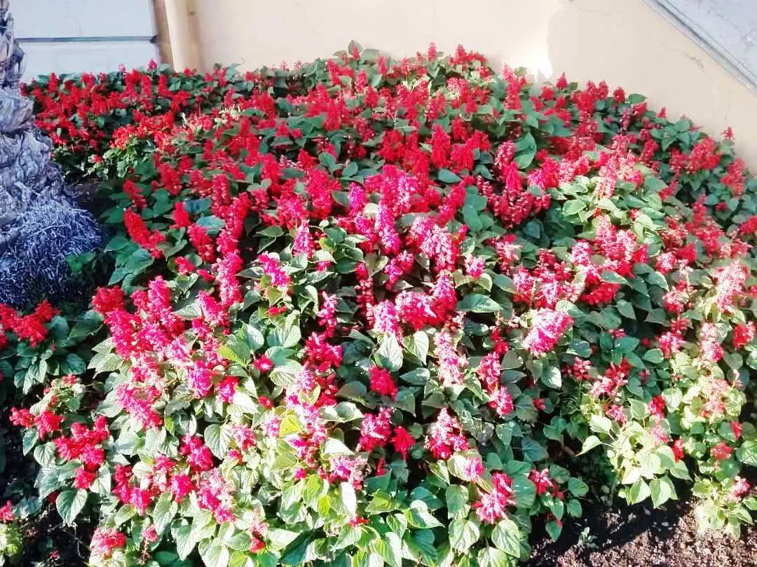 IMG-20190306-WA0001.jpg