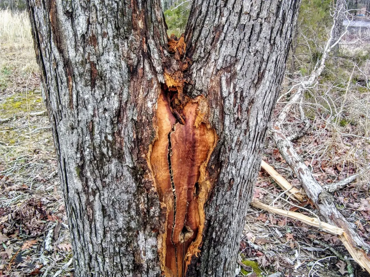 lightning strike3.jpg