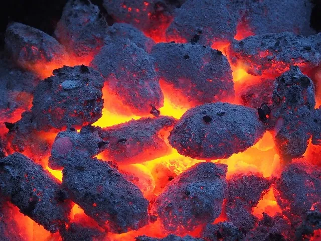 barbecue-386602_640.jpg