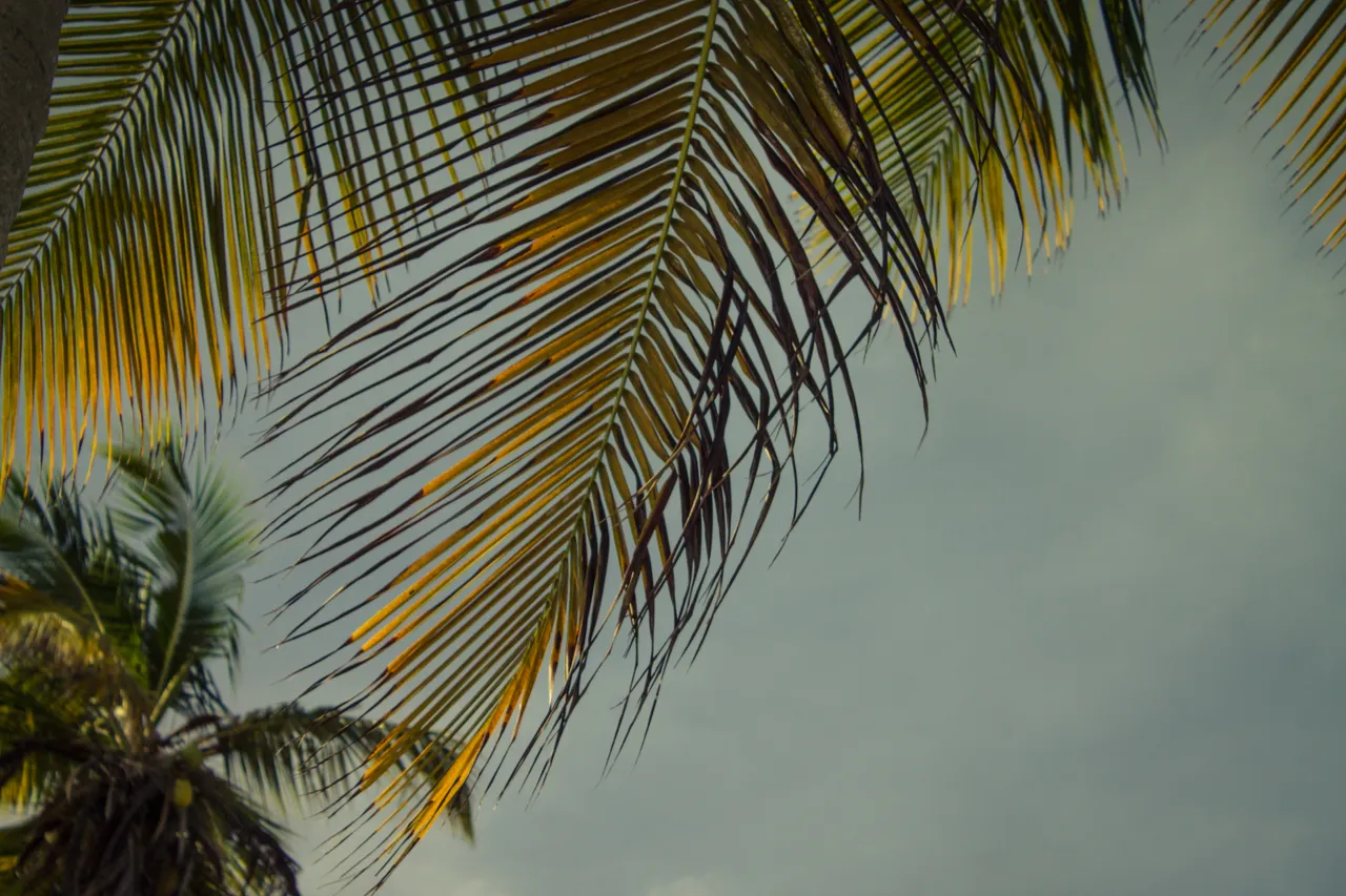 Playa La Rosa-5.jpg