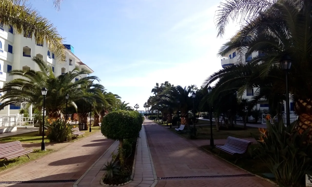 IMG_20190128_110751.jpg
