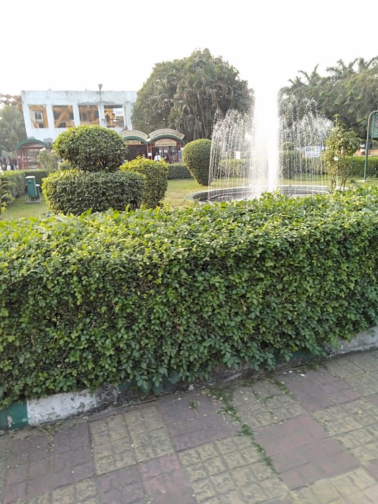 IMG-20190128-WA0028.jpg