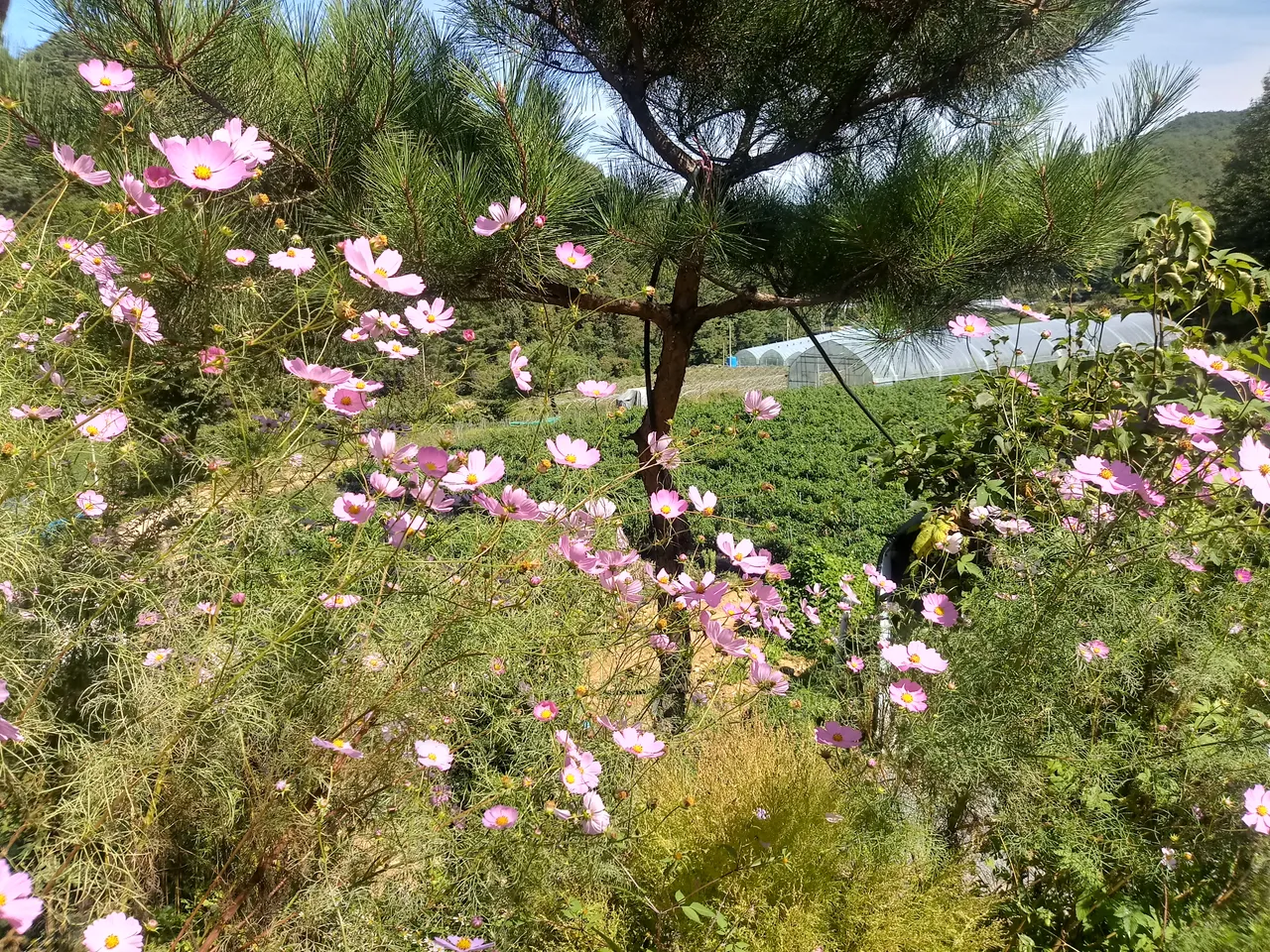 20180924_123752_HDR.jpg