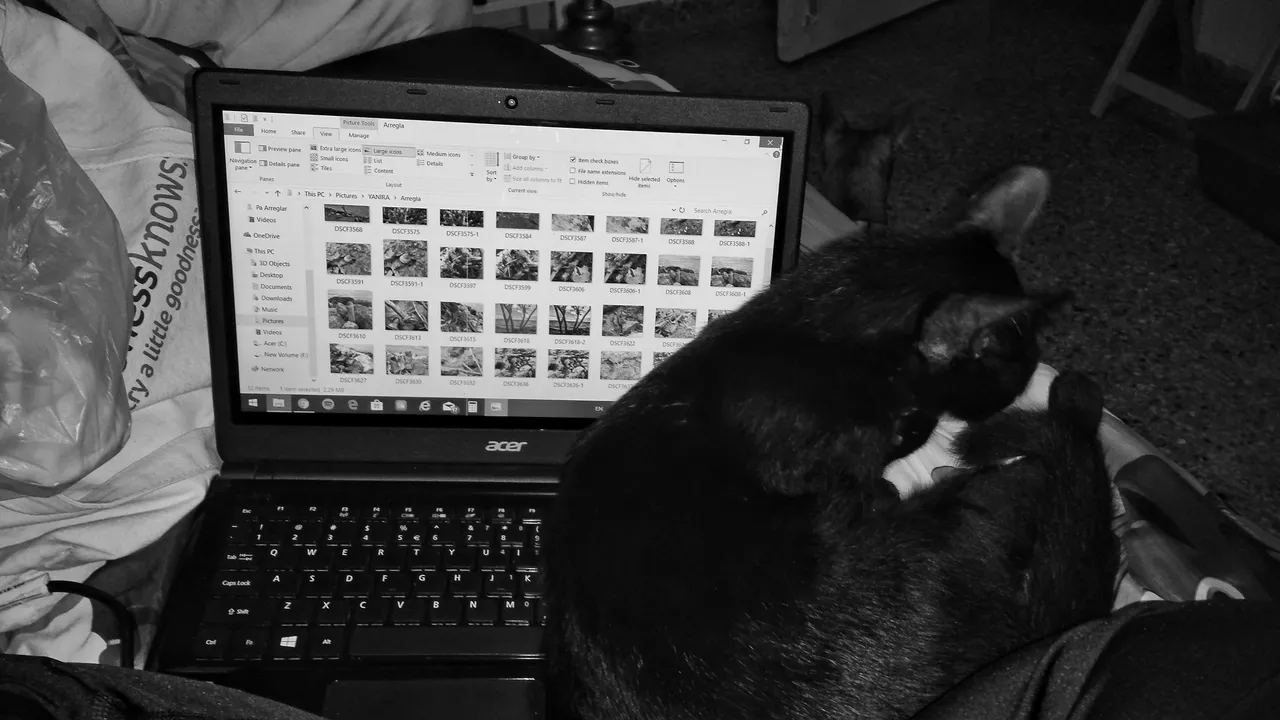 20190510_205605-01.jpeg