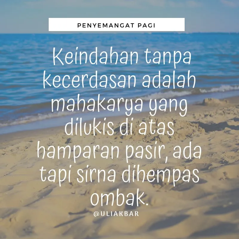 IMG-20190113-WA0000.jpg