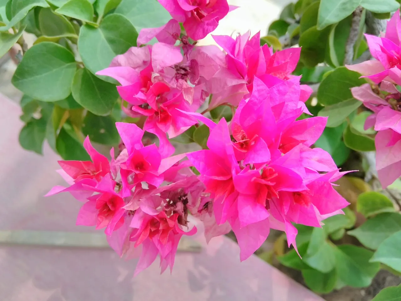 IMG_20180708_144031.jpg