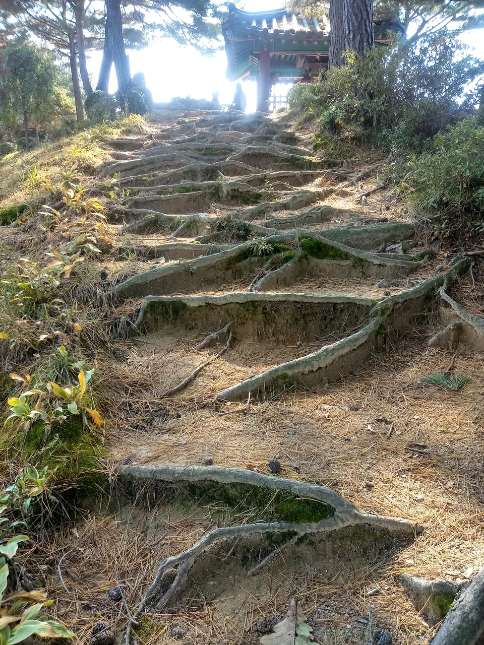 20181014_113623_HDR.jpg