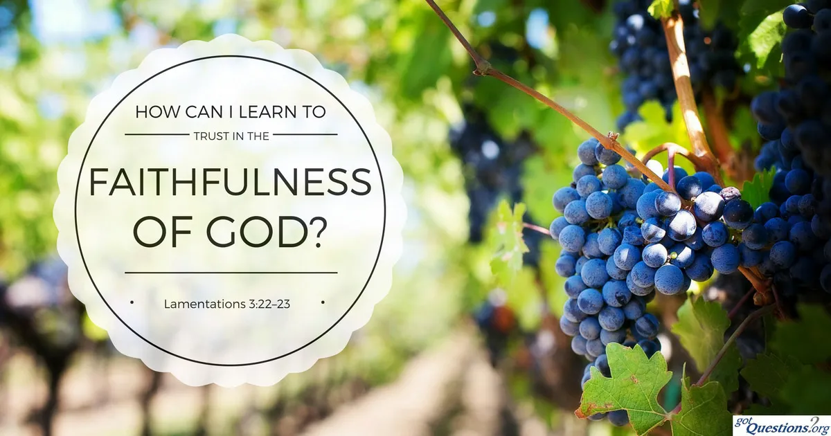 faithfulness-of-God.jpg